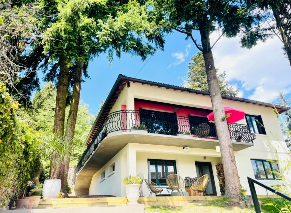 La Madeleine Bed & Breakfast Amplepuis Екстериор снимка